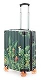 HAUPTSTADTKOFFER Q-Damm – Maleta de Cabina Ligera con 4 Ruedas Dobles, 54 cm / 38 L, Equipaje de Mano rígido para avión de policarbonato/ABS, Cerradura TSA, diseño Loro