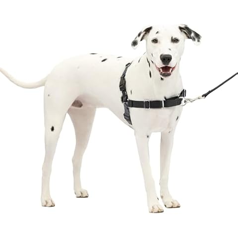 PetSafe Easy Walk No Pull Dog Harness Cover