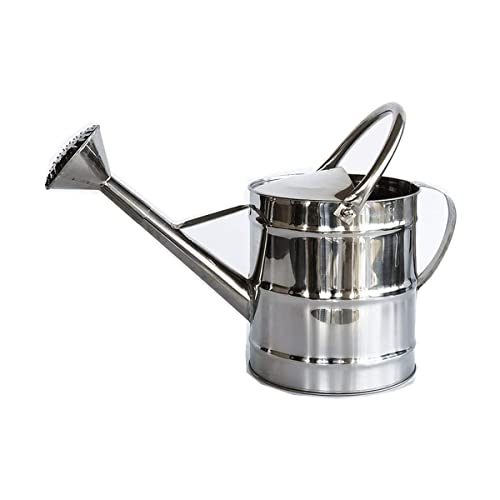 Arrosoir en acier inoxydable 8 L/12 L en acier galvanisé avec revêtement antirouille pour jardin et plantes vertes