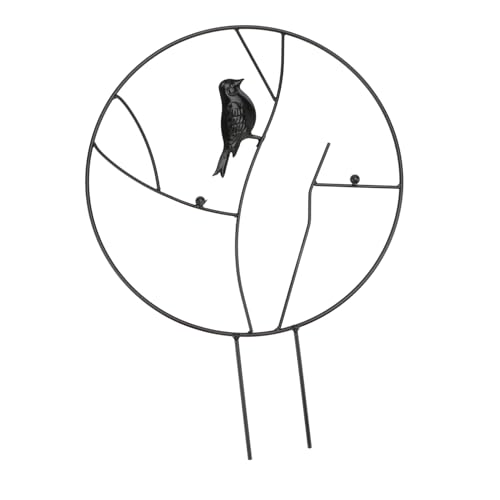 MINAOLULUS A Ԏx Ap ACA ό cApT|[g ʕ  N}`X Ux ubN