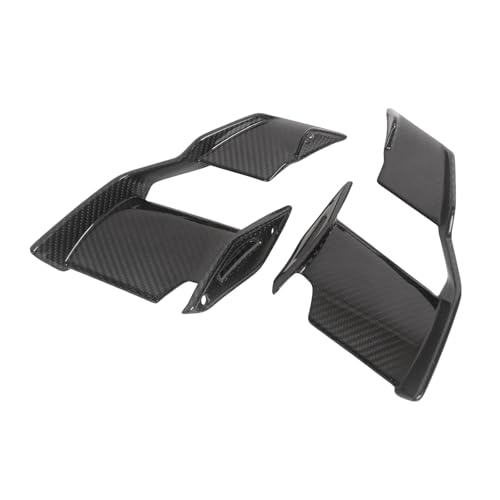 Carénage à aile fixe de moto en carbone pour M1000R 2023 aileron de prestige