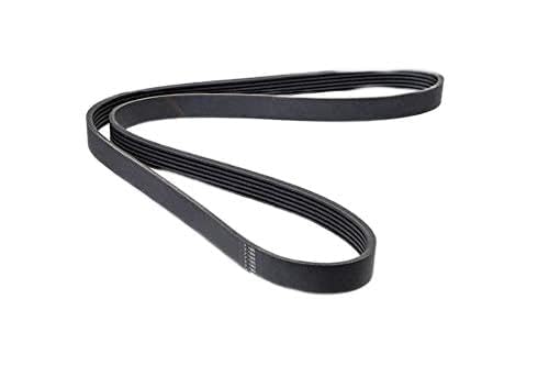 HUTCHINSON 805 K 6 Cinghia servizi