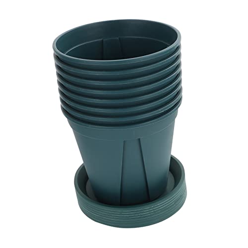 Luxshiny ƒpc|bg 8g A琬 yʃJbv A }؂ ʋCƕېɗǂ ݌v