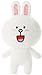 Produktbild LINE Character - Cony M