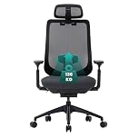 COLAMY Ergonomic Mesh Office Chair, High Back Computer Executive Desk Chair with Adjustable Headrest and 4D Arms, Slide Seat, Tilt Lock, Black
