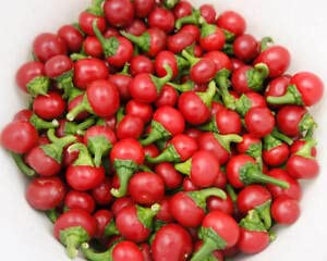Golden Hills Farm cherry Red chilli round 40-69 seeds (B09JY52RKD) Amazon Price History, Amazon Price Tracker