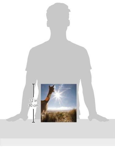 Vicuna: The Queen of the Andes: The Fibre of the