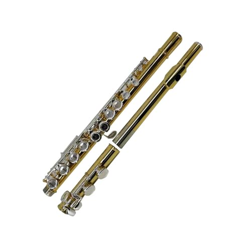 t[gyZbg t[gbL16EL[Ǌy(1)