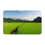 Door Mat Absorbent Non-Slip Welcome Mats Washable Kitchen Rugs for Entryway Front Door Mat Green Rice Field Doormat Outdoor Indoor Entrance Doormat for Bedroom Kitchen Porch 20x31.5 Inch