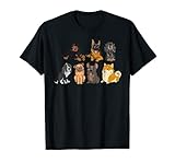 Chiot Animal Mignon Race De Chien Cadeau