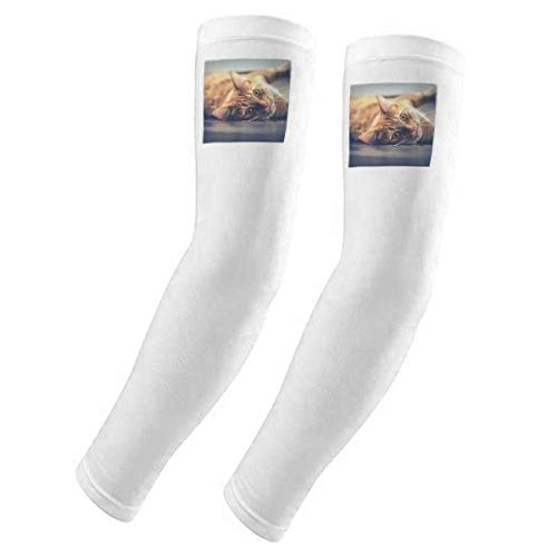 Funda para brazo gato amarillo elástica transpirable protectora de antebrazo textil 1