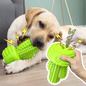 Image of Pamlulu Dog Chew Toys & Teeth Cleaning Brush - Dental for Small, Medium & Large Dogs, Rubber Squeaky Toys for Aggressive Chewers, Cactus Tough Toys