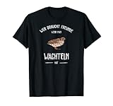 Geflügelzucht Ziervögel Wachtelhenne Wachtelzucht