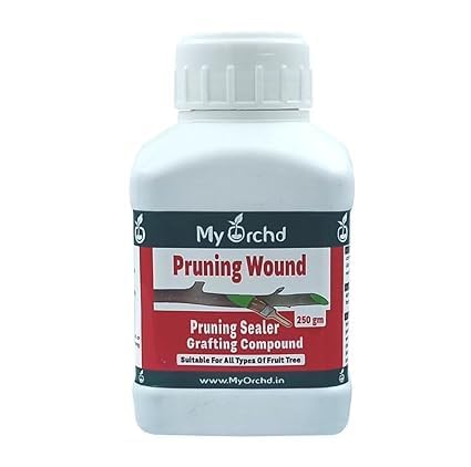 My Orchd | Pruning Sealer | Tree Wound Sealer & Protector | Fast-Drying, Waterproof Pruning Sealer with Brush for Bonsai, Fruit Trees, Home & Garden | Outdoor Living Care | Pack of- 500 Gm (B0CHW85TTY) Amazon Price History, Amazon Price Tracker