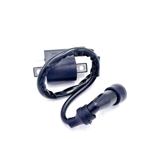Interruptor de encendido para JS250 JIAN She ATV 250 CC con bobina FG-802000-F2