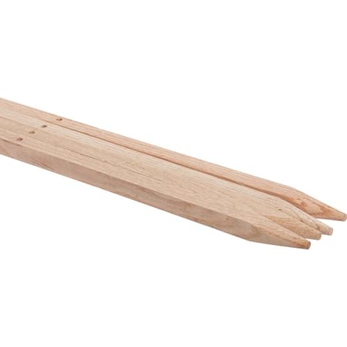 4PK 72" OAK GARDEN STAKE 401111