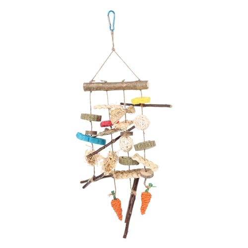 Kisangel 1 Zbg nX^[ ̎̂ObY hamster toys pet supplies P̂ Ԃ牺