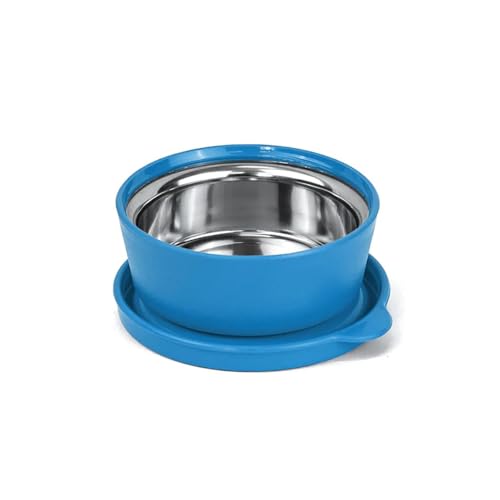 Image of SignoraWare Monarch Mini Mate Stainless Steel Container | Airtight & Leakproof | Small Storage Box for Spices, Chutney, Snacks | Ideal for Office, School & Travel (80ml | TBlue)