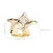 GALPADA 2pcs Fashionable Teeth Caps with Unique Star Design for Hip Hop Cosplay for Parties Performances and Everyday Wear Elegant and Comfortable Accessory