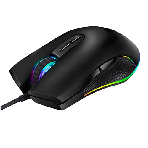Souris gaming Type-C ergonomique idéale pour jouer sur ordinateur portable et PC