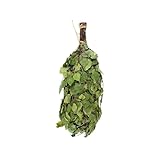 branche bouleau decoration quebec Bienfaits : Stimule la circulation sanguine, apportant des avantages pour la santé.