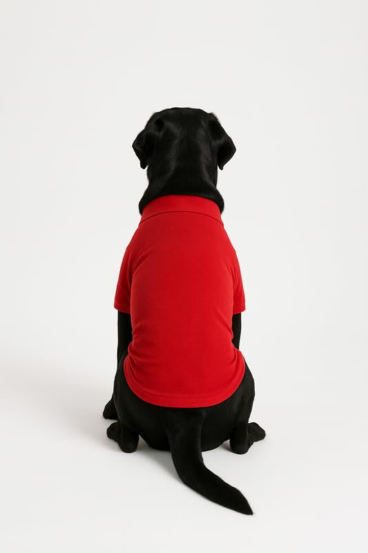 Image of Thunder Tails Premium Cotton Polo Dog T-Shirt | for Large Dogs | Red | 4XL | for Lean Labrador, Golden Retriever, German Shepherd, Rottweiler, Husky & Chow Chow