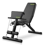 wuuhoo® Hantelbank Apex – Verstellbare Trainingsbank mit Resistenzbänder, Bizeps-Polster und ergonomischer Polsterung für vielseitiges Heimtraining