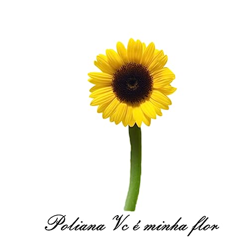 Poliana Vc &eacute; minha flor