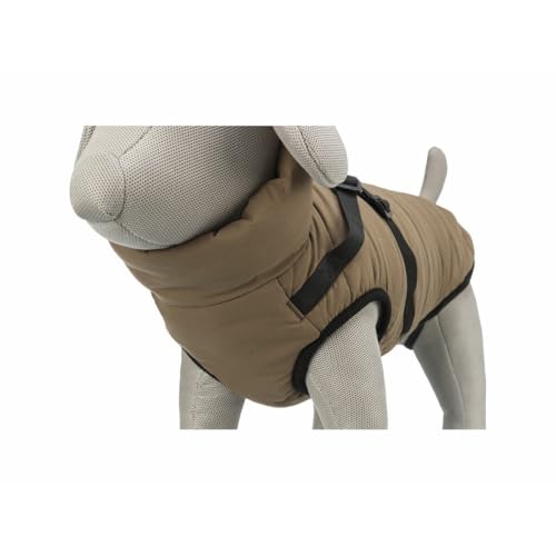 Hundemantel Trixie Pirou Arena XS, Marke: Trixie - EAN: 4053032676565