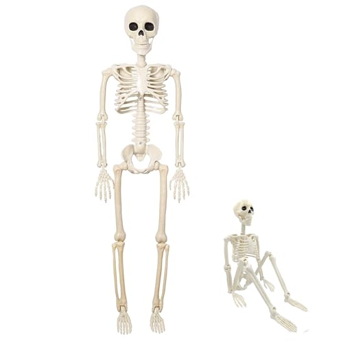 ICOUVA Halloween Posable Skeleton Decoration - 40cm Plastic Skeleton for Indoor or Outdoor Garden Decor Christmas Day and Other Party Decorations