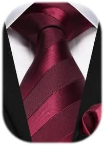 HISDERN Men's Tie and Pocket Square Set Striped Polka Dot Silk Ties for Men Formal Classic Elegant Necktie & Handkerchief for Business Wedding Party