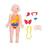 FONDOTIN Kit Modellino Anatomico Corpo Umano 3d con Organi Rimovibili, Giocattolo Educativo Scientifico per Bambini, Sviluppo Abilità Motorie e Apprendimento Interattivo a Casa e Scuola