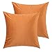 VIONNPPT Zestaw 2 aksamitnych poszewek na poduszki, dekoracyjne poszewki na poduszki, seria pomarańczowa, poszewka na poduszkę na sofę, do salonu, sypialni (pomarańczowa, 50 cm x 50 cm)