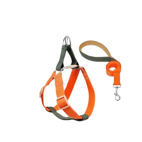  n[lX [h Zbg ^ ^ ^    Jt n[lX[h _uO v 2_Zbg ybg COTEN (D^Cv, S)