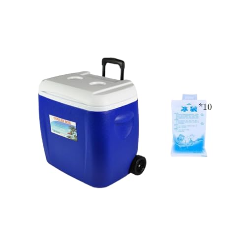 Kirnuo LX^[t N[[{bNX 28L/38L ۗۉ{bNX e ԕۗ 24?48 ܑۗΉ L[nht Lv ނ o[xL[ AEghA (38L,u[iACXpbN*10j) [sAi]