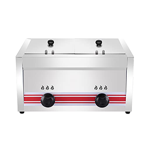 Friggitrice a gas, grande capacità in acciaio inox GPL, controllo del calore regolabile, include cestini e coperchi, perfetta per friggere in casa e in ufficio