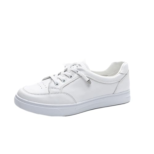 [JUI3N] Xj[J[ C fB[X {v [XAbv zCg [Jbg tbgV[Y 傫TCY ₷ Xb| 24.0cm EhgD ɂ  X|[c jOV[Y TCY JCC p