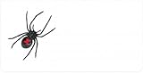 Black Widow Offset On White Photo License Plate