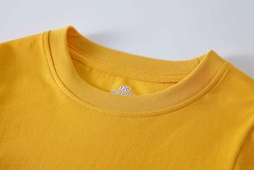 Image of Cadidi Dinos Boys Short Sleeve Shirt Kids Crewneck T-Shirts Top Girls Tee