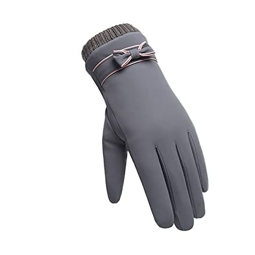 JYDZSW Vinterhandskar mode vinterhandskar kvinna vindtät vattentät intern plysch varma vantar dam pekskärm hudvänliga mjuka damhandskar (färg: Grå, handskar storlek: en storlek)