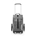 Reisenthel Citycruiser MJ Einkaufstrolley Einkaufsroller Einkaufswagen, Farbe:Twist Silver