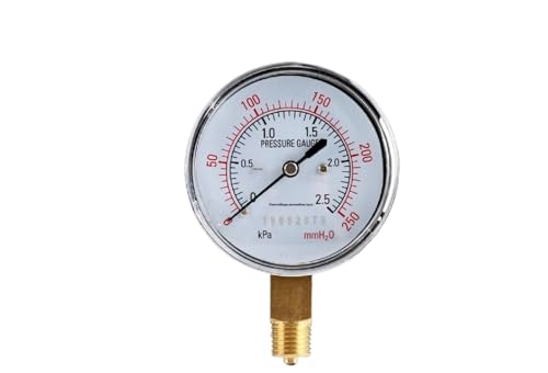 Manómetro de presión de gas mecánico con estructura de membrana industrial YE-60