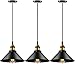 YNXing Lampada a Sospensione Industriale E26 E27 Base Vintage Hanging Lampade A Sospensione Retro Lampada A Sospensione Casa Cucina Illuminazione (3 pack)