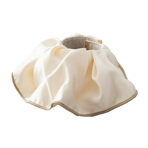 [b D] N[hbg wAANZT[ fB[X lC NbvJt |j[tbN wAS [Jt pCsO t Te  ^b` {[  yAC{[z