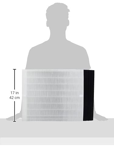 Genuine Winix 113250 Replacement Filter E For P450, White/Black #TOP2