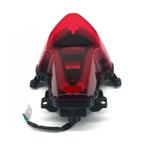 Freno luces trasero CF250-6 con acabado resistente y óptica ahumada para 250SR 300SR 3