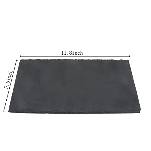 Image of JIH Reptile Basking Platform 11.8 x 5.9 inch, Natural Rock Reptile Food Bowl Tortoise Feeding Dish Habitat Decor