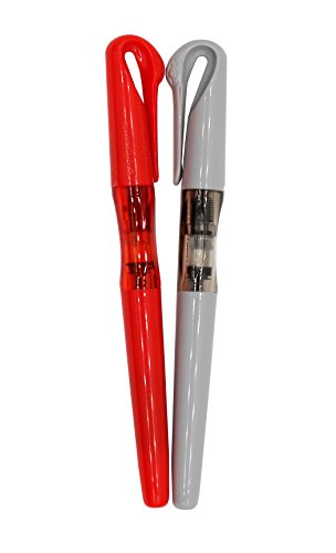 Ranvi penna stilografica a cigno, penna a coppia