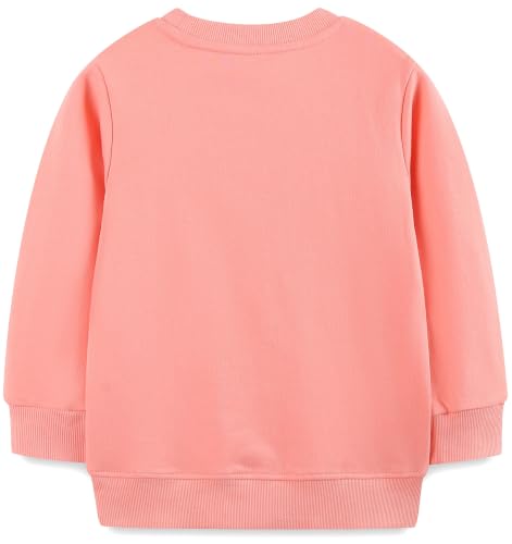 Image of Hongshilian Unisex Kids Cute Cartoon Cotton Sweater Shirt