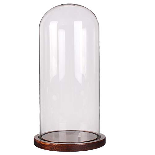 Moonlear Glass Dome Cloche Tabletop Display Case Bell Jar 4.7